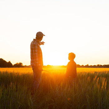 Vater und Sohn auf dem Feld